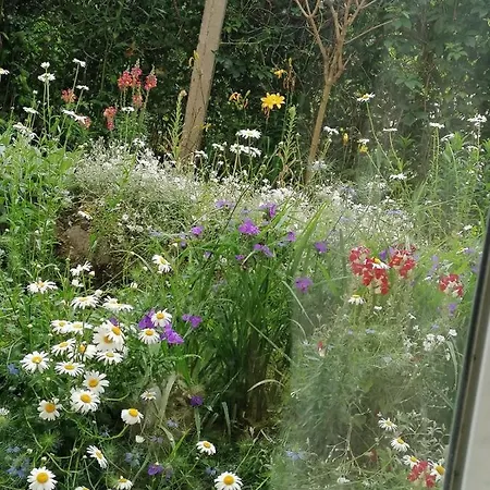 Apartment Garden View House *